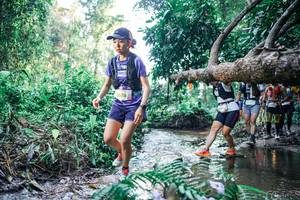 BIB: 
                            <button type="button" onclick="openModal(25442603)" class="btn btn-primary btn-sm float-right btn-popup" data-toggle="modal" data-target=".modal-high-quality">
                        <i class="fas fa-shopping-cart"></i> Add to Cart
                    </button>
                                            <button type="button" onclick="isThisMe(25442603, true)" class="btn btn-success btn-sm float-right btn-popup btn-isme hidden" data-toggle="tooltip" data-placement="bottom" title="นี่คือรูปของคุณใช่ไหม คลิกที่นี่เพื่อเอาเข้าอัลบั้ม">
                        <i class="fas fa-plus"></i> Add to album
                    </button>
                    <button type="button" onclick="isThisMe(25442603, false)" class="btn btn-warning btn-sm float-right btn-popup btn-isnotme hidden">
                        <i class="fas fa-ban"></i> Remove from album
                    </button>